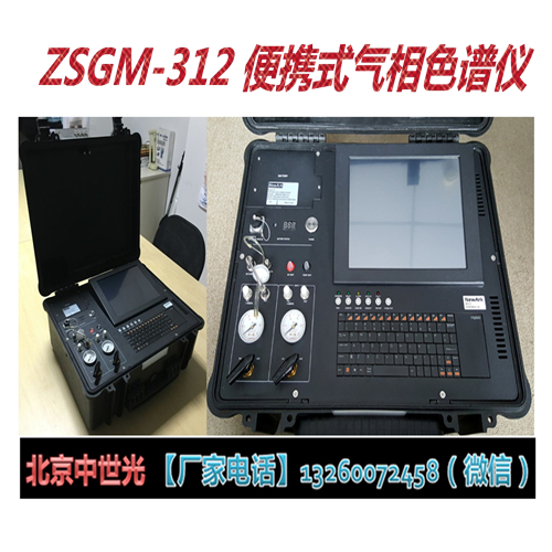 ZSGM-312 便携式气相色谱仪