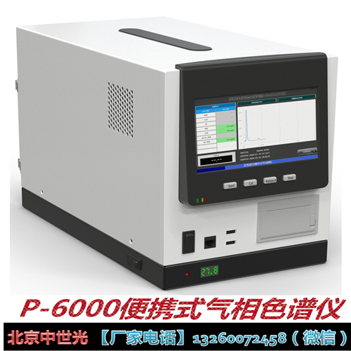 P-6000便携式气相色谱仪