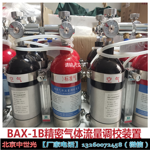 BAX-1B精密气体流量调校装置